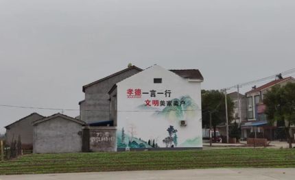 威宁新农村墙绘